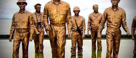 A group of people in uniform standing in a line.
