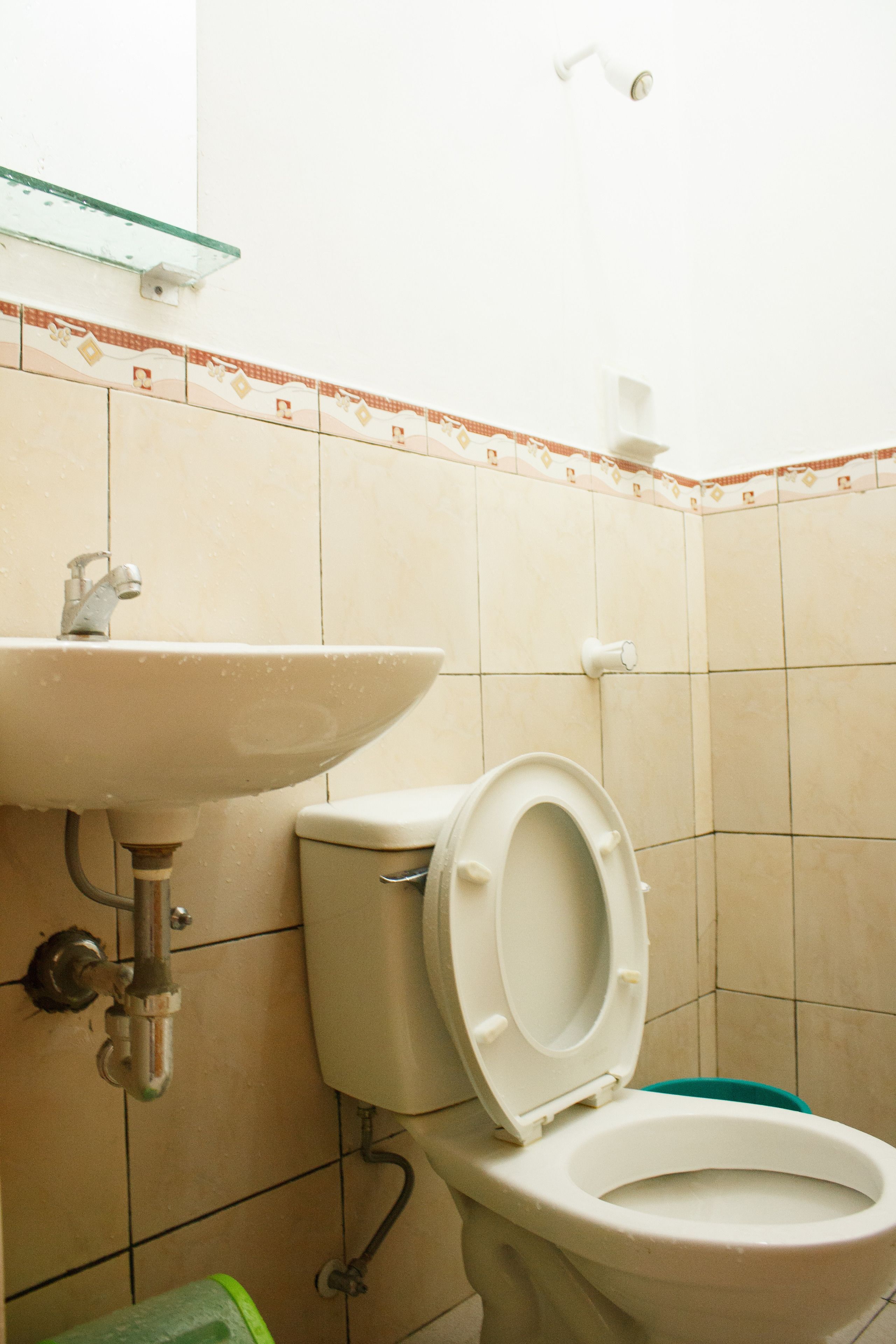 A bathroom with a toilet, sink, and showerhead.