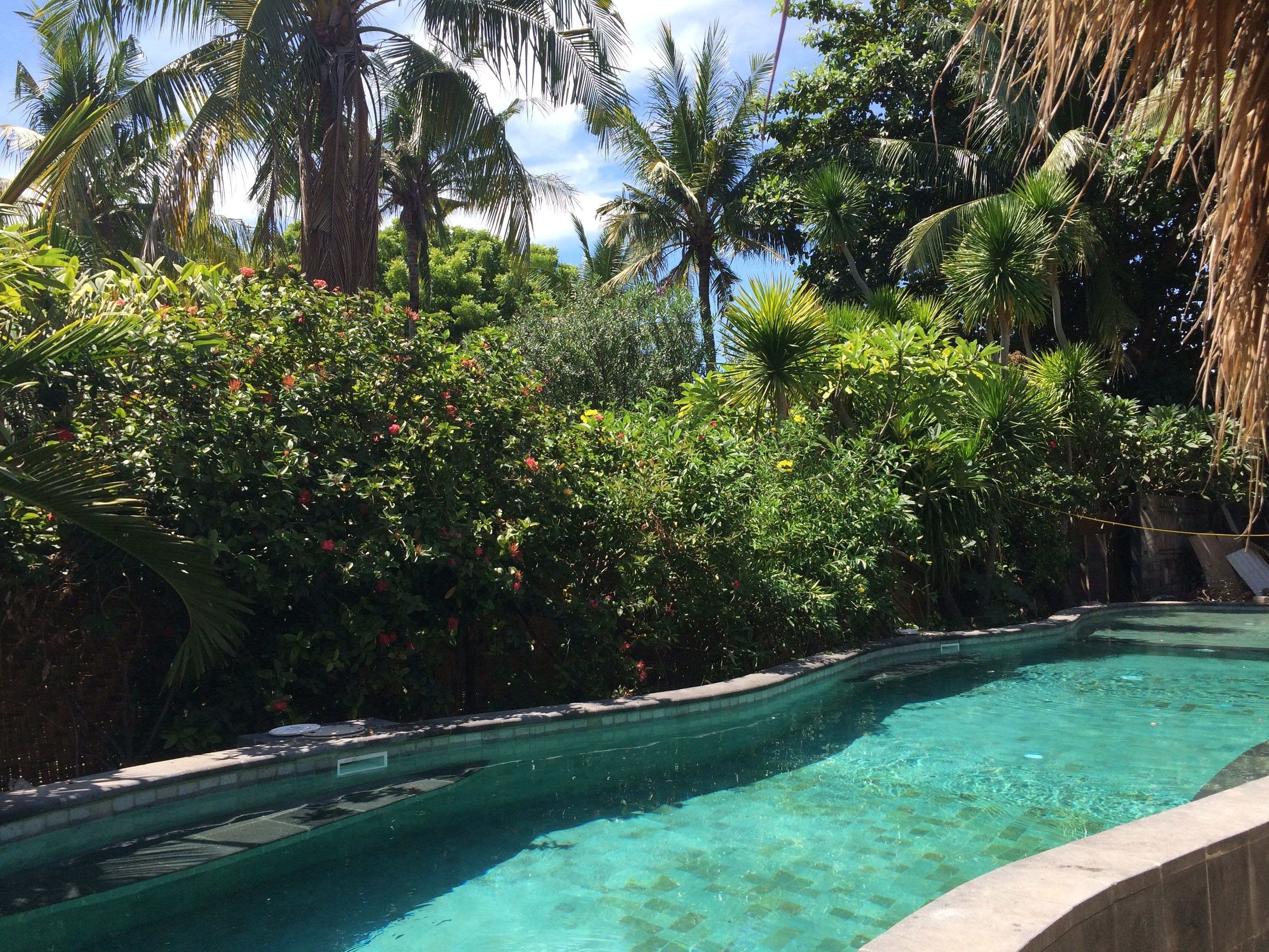 A clear swimming pool surrounded by lush tropical vegetation.