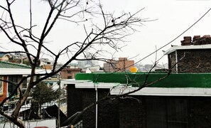 A building with a green roof, brick walls, and a visible staircase.