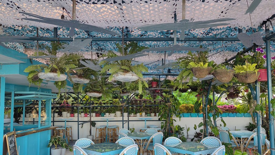 Cabins by Eco Hotels