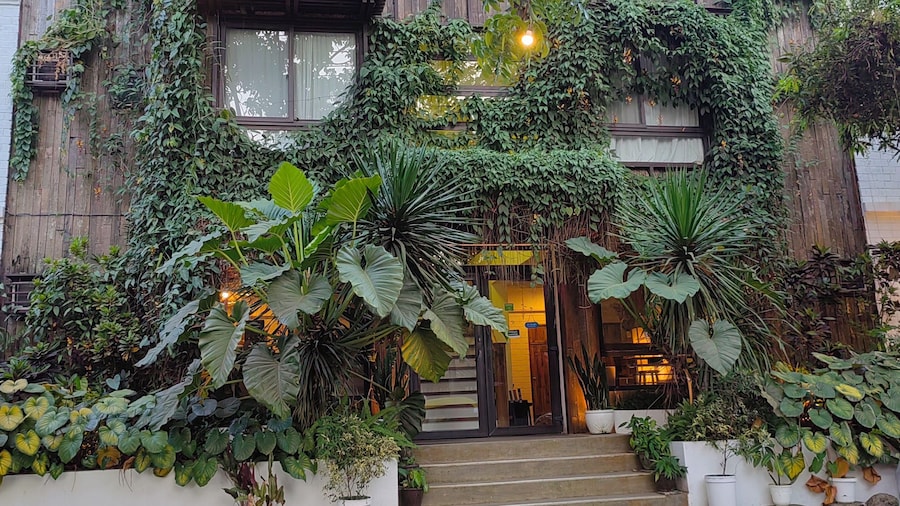 Cabins by Eco Hotels