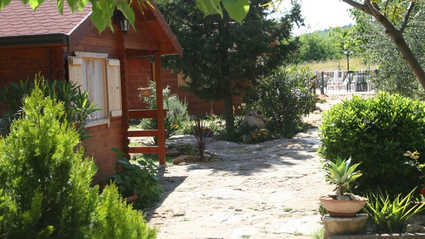 Una cabaña de madera rústica con un sendero de tierra que lleva a una terraza de madera.