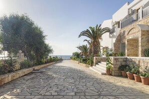 الإطلالة من المنشأة