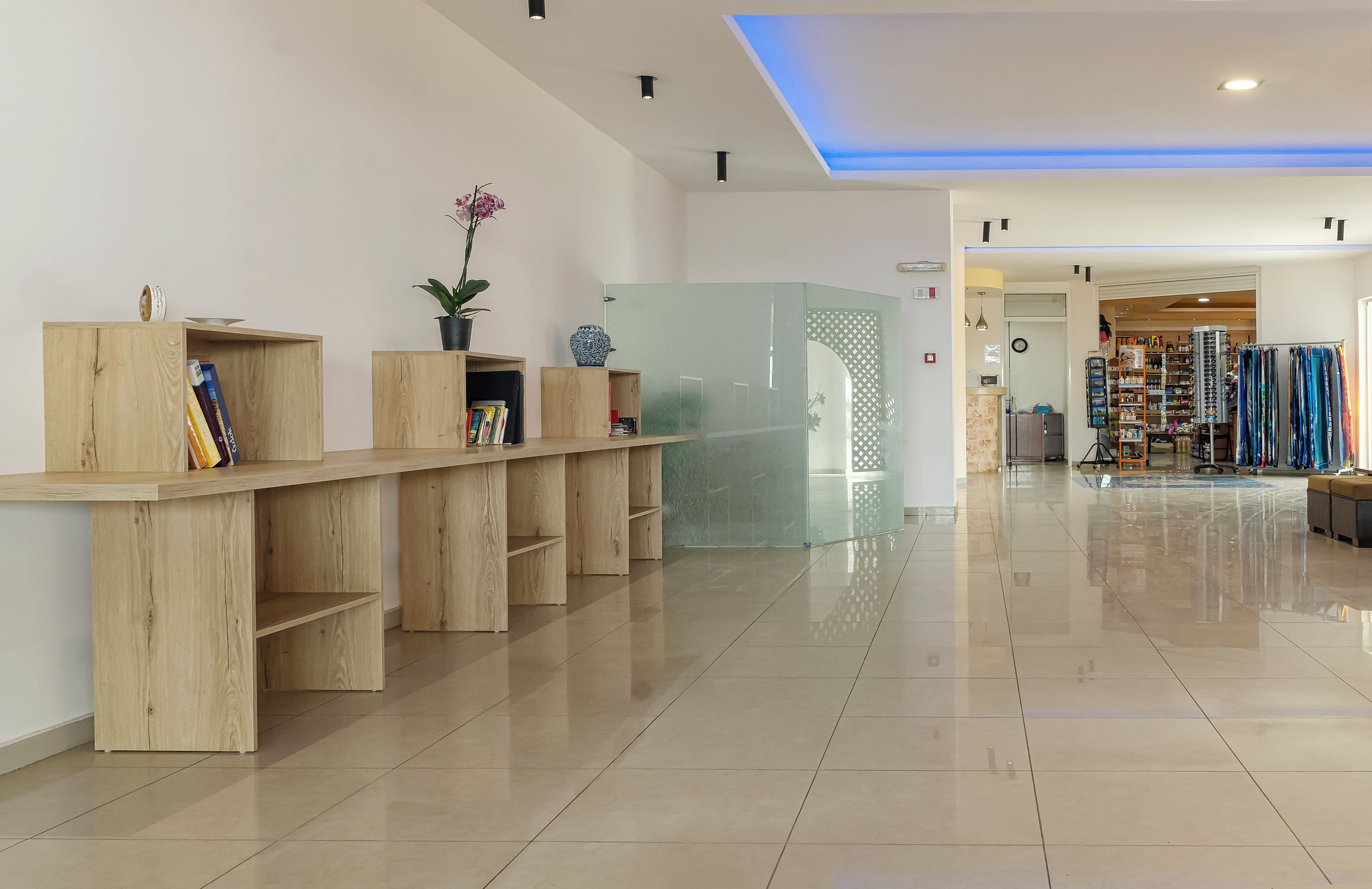 Un espace d’accueil moderne avec des étagères en bois, une plante en pot et une cloison en verre.