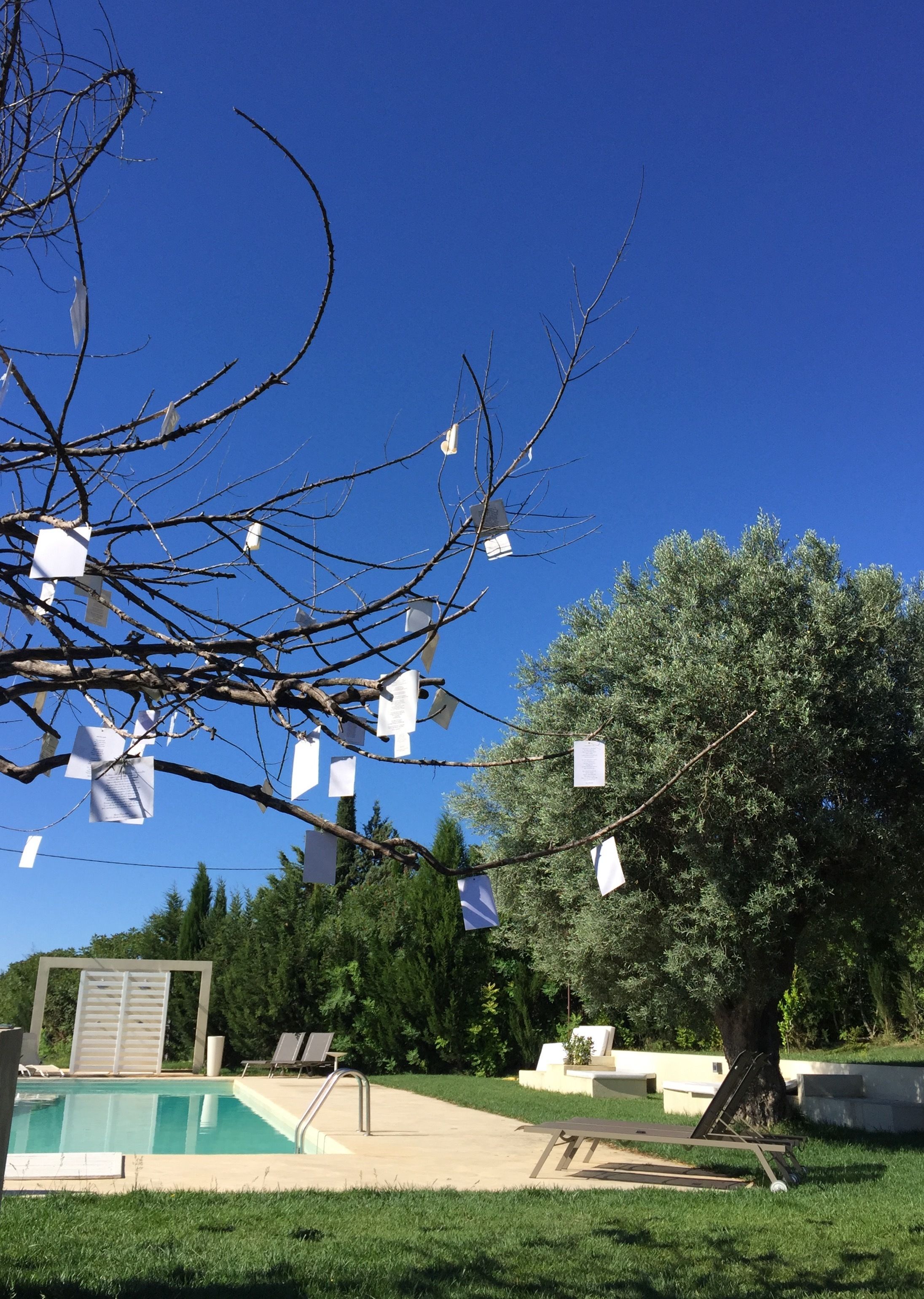 Une piscine entourée d’un espace où le ciel est dégagé, un arbre orné de feuilles de papier suspendues et des chaises longues.