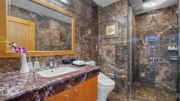 A bathroom with a marble sink, a toilet, and a glass-enclosed shower.