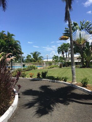 Jardin