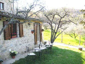 Property grounds - Villa Colle di Rocco (Cannara)