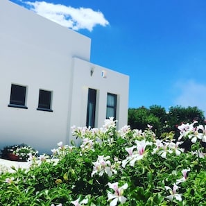 Vista desde la habitación