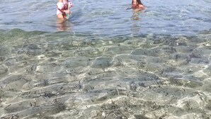 A beach scene with clear shallow waters and people swimming and playing. - B&B Resort Torrefano (Pachino)