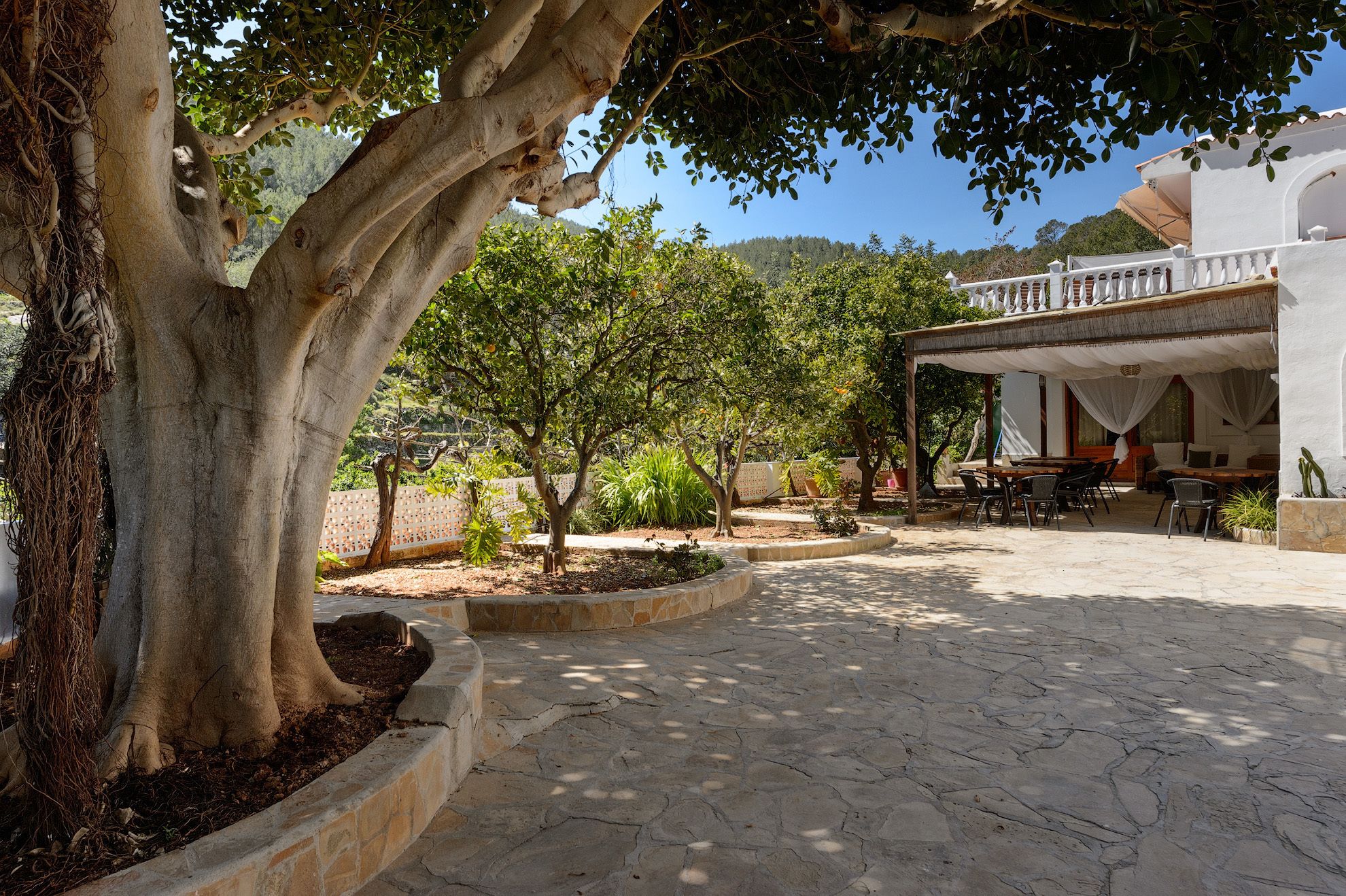 Foto - Valley Club Ibiza - Boutique Agroturismo
