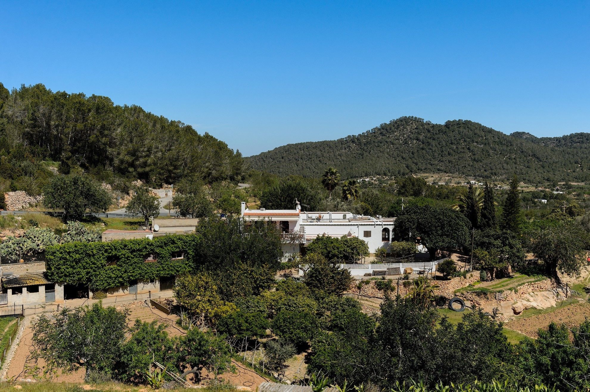 Foto - Valley Club Ibiza - Boutique Agroturismo