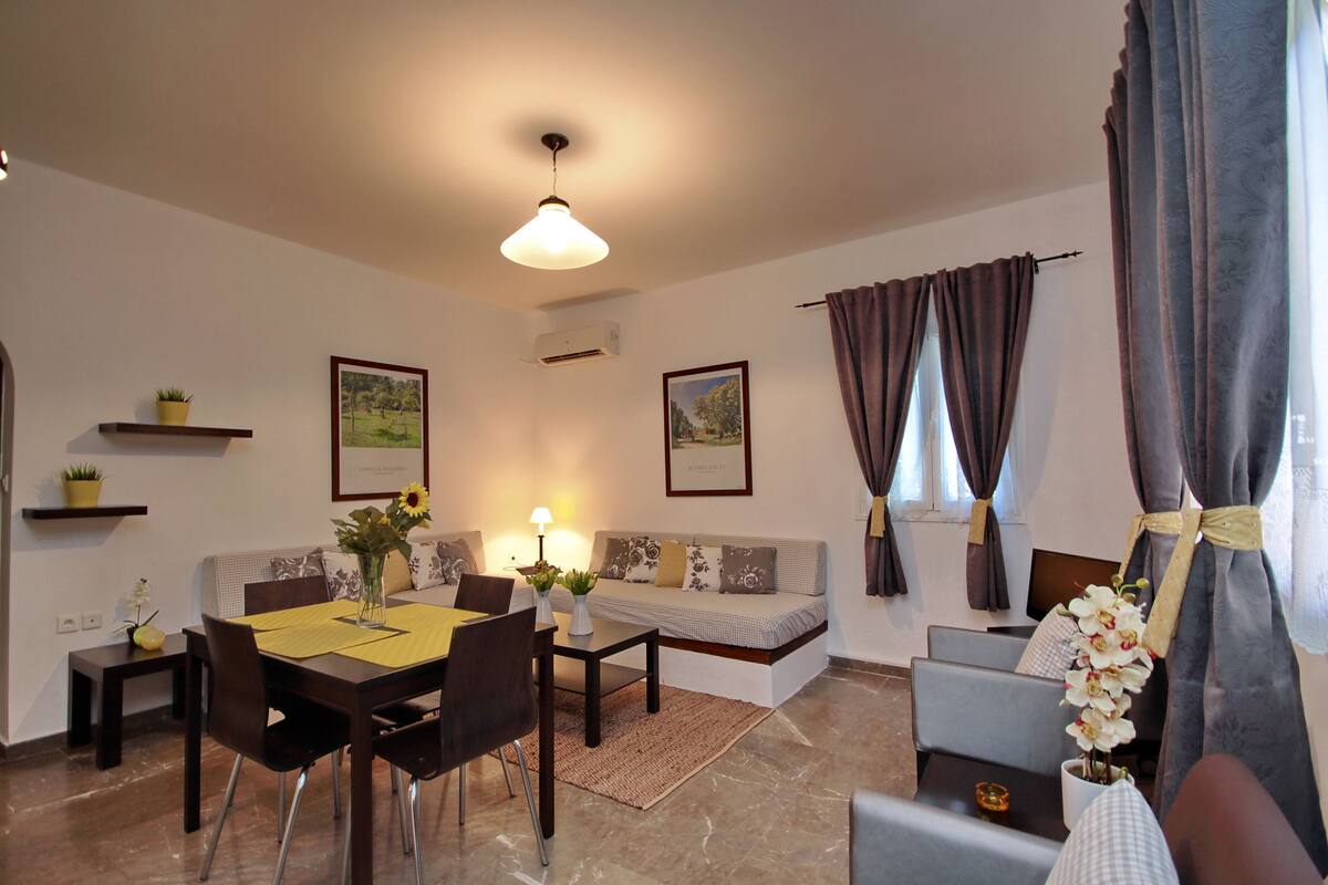 A living room with a dining table, chairs, a sofa, a TV, and a window with curtains.