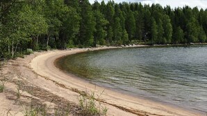 A sandy beach with a curved shoreline, surrounded by dense green forest. - Karelia Country Cottages (Kitee)