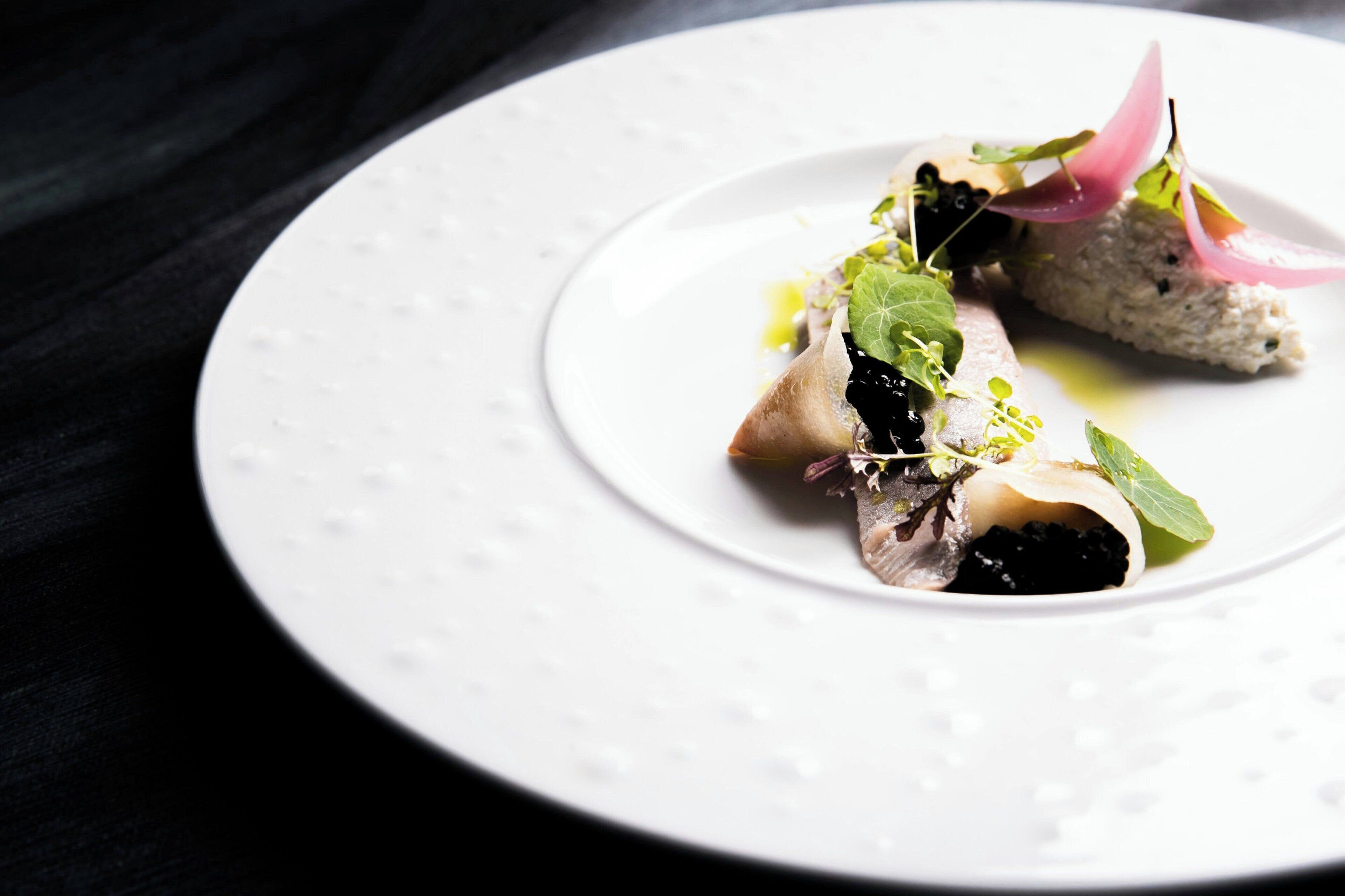Un plato blanco con un guiso sobre un fondo oscuro.