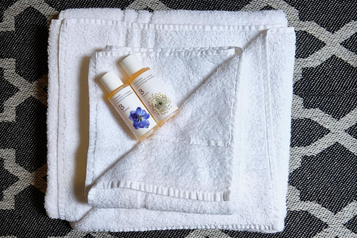 shower, free toiletries, hair dryer, towels