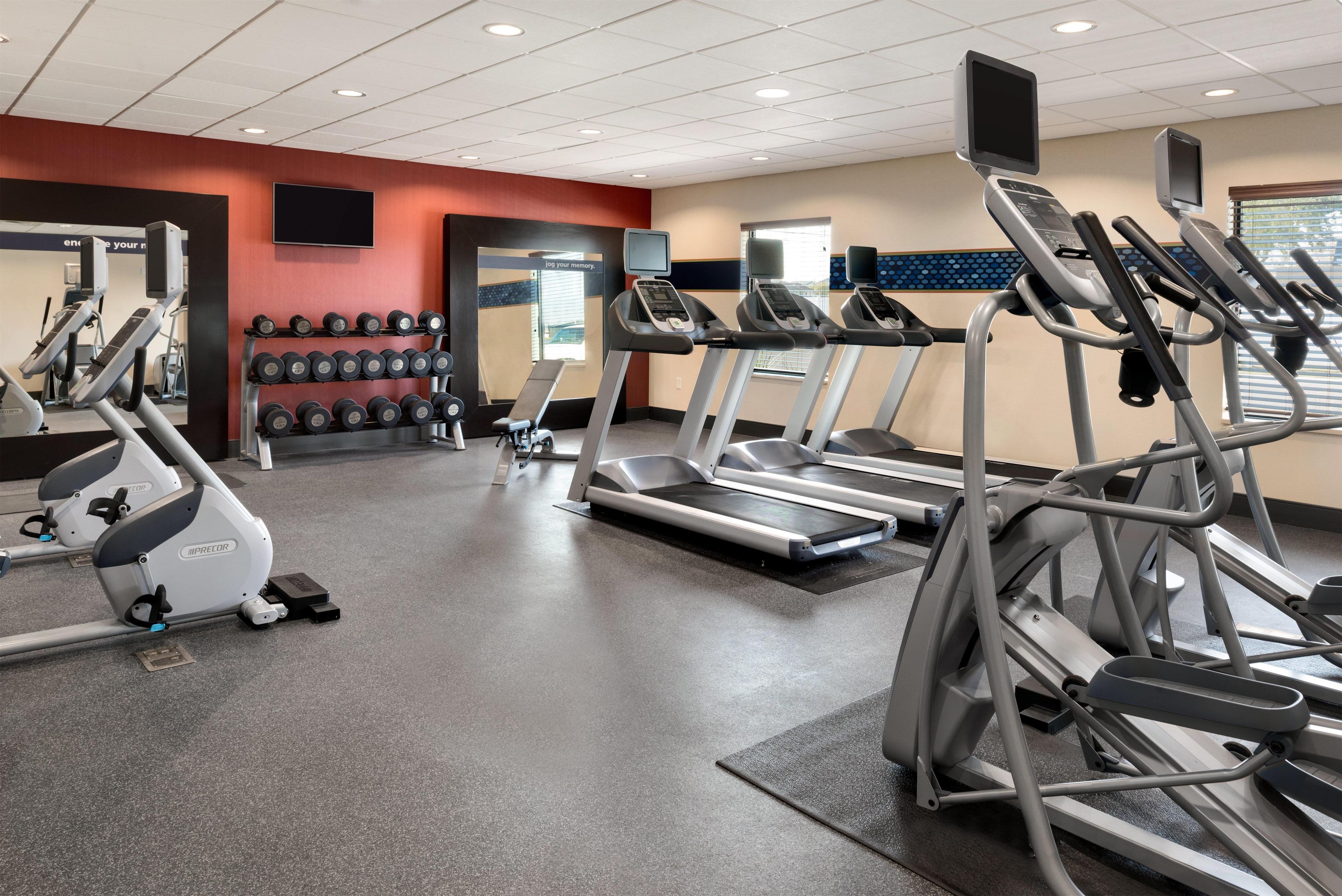 A gym with treadmills, elliptical machines, and dumbbells.