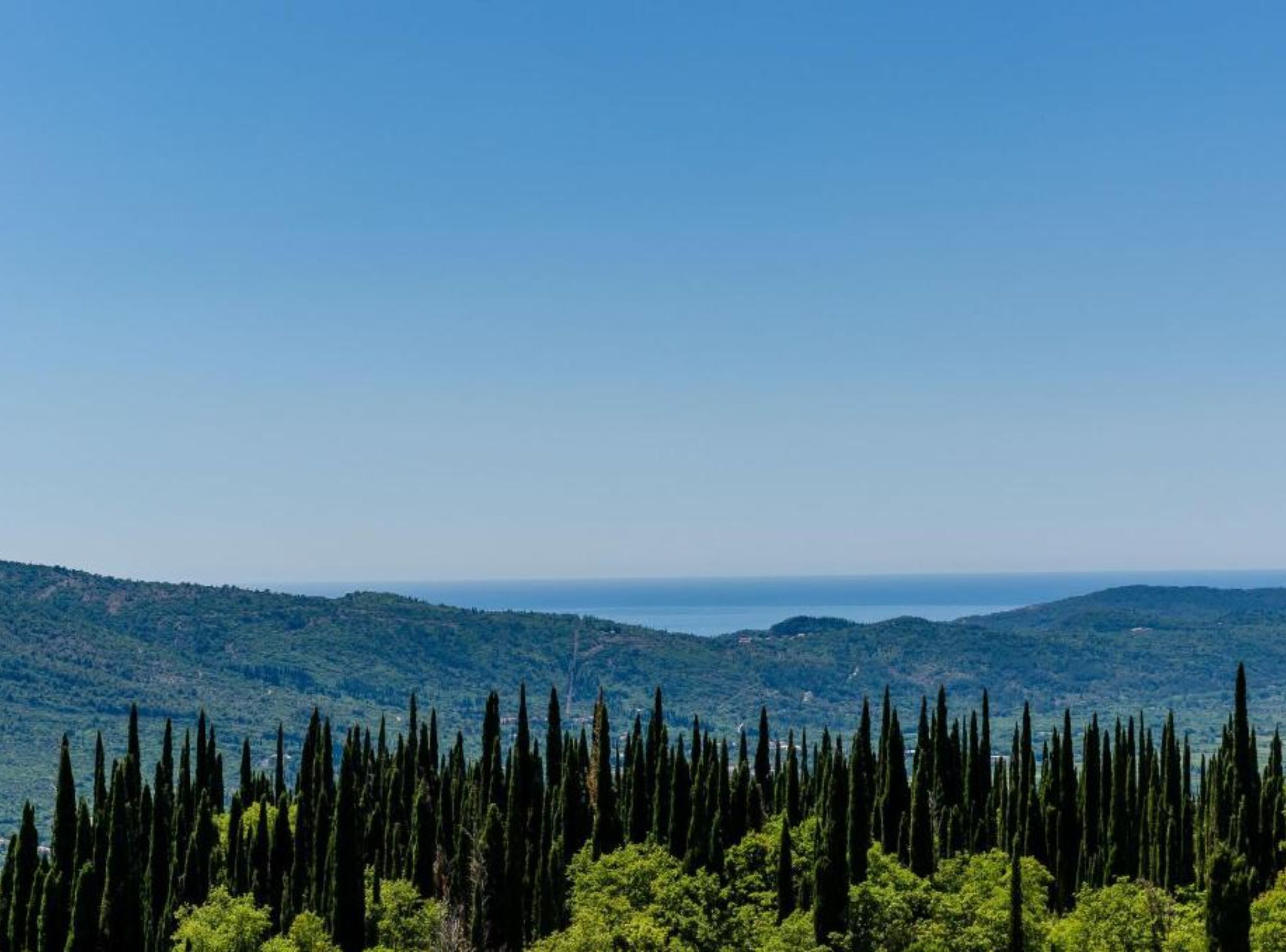 Un paysage caractérisé par un ciel dégagé, une vue lointaine sur la mer et une forêt d’arbres imposants.