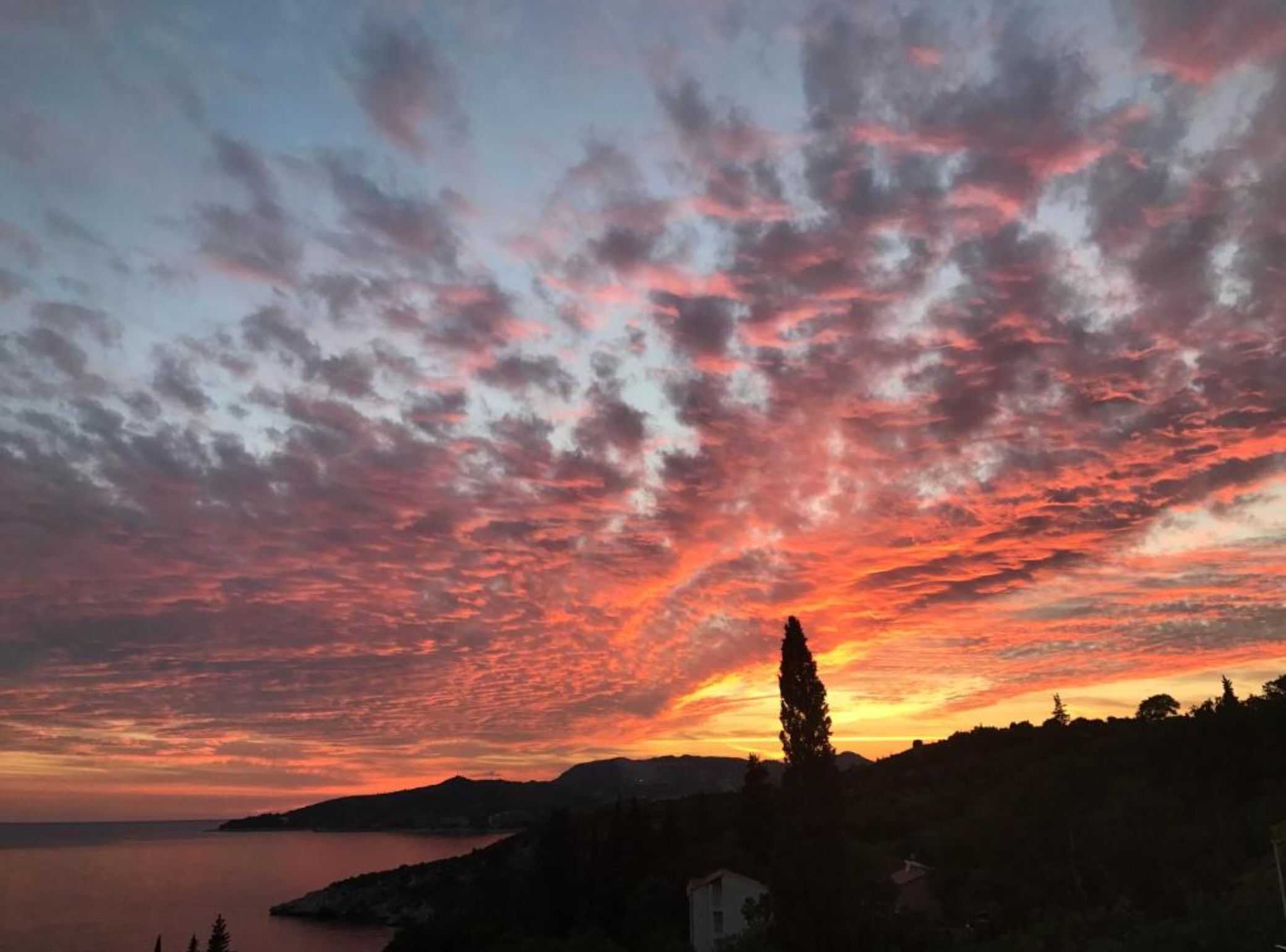 Rannikon auringonlasku, jossa näkyy puun ja talon siluetti.