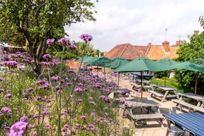 Terrace/patio - The Ship at Dunwich (Saxmundham)