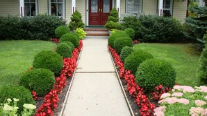 Un sendero lleva a una casa con puerta roja, rodeada de setos bien cuidados y macizos de flores.