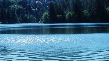 A calm lake with reflections of trees and buildings on the water's surface.