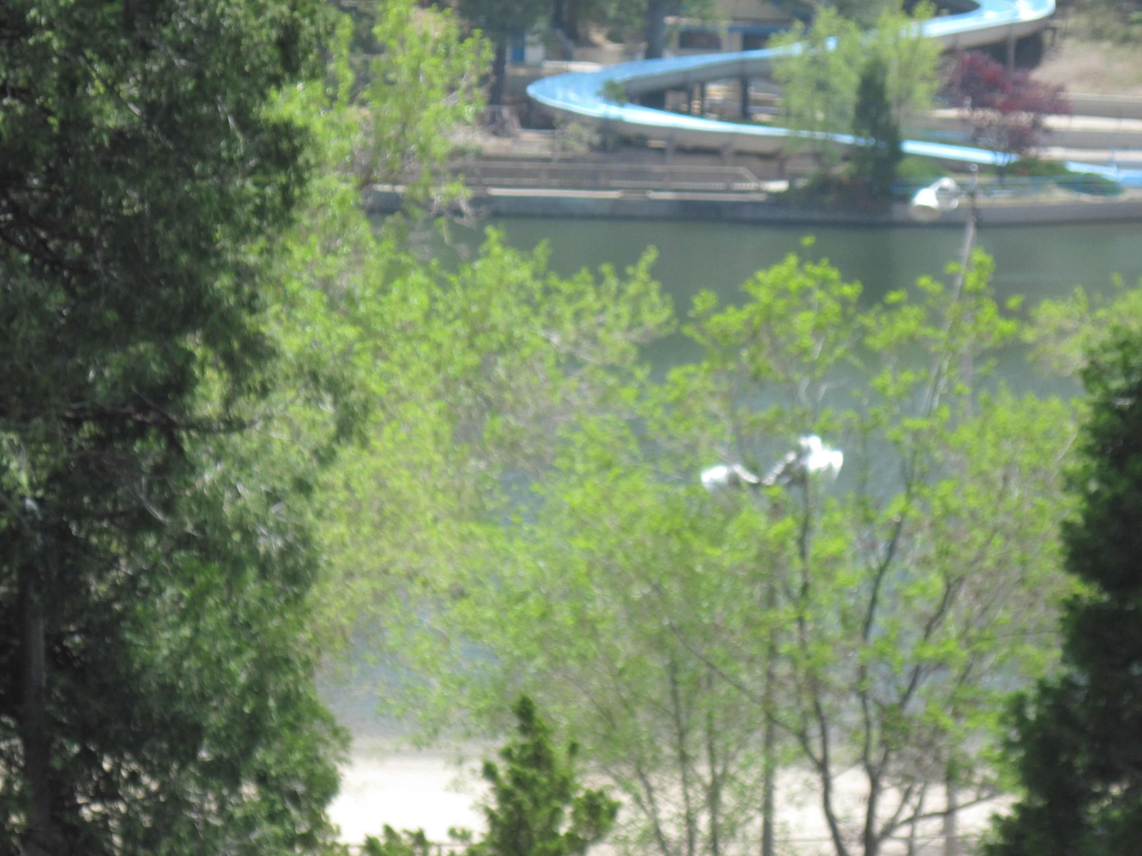 Vista de un río con un puente y árboles.