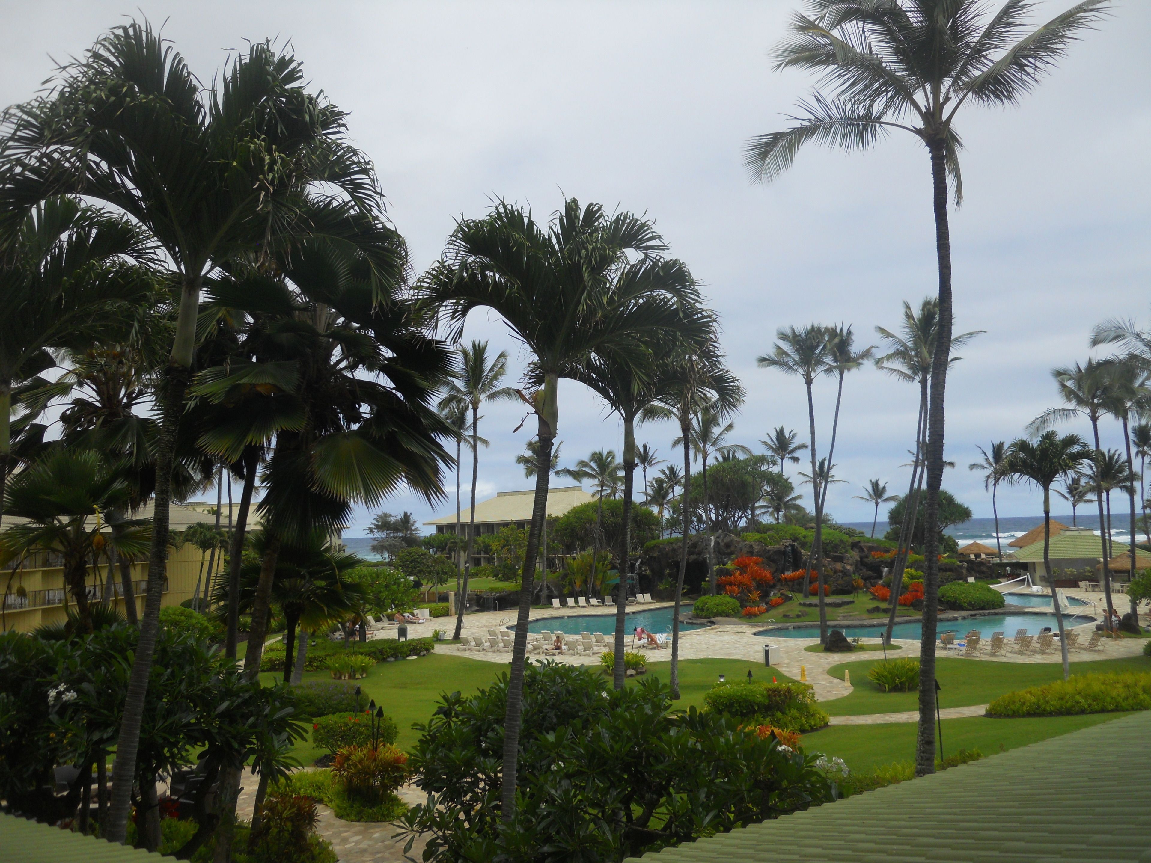 A resort with a pool, palm trees, and a view of the ocean.