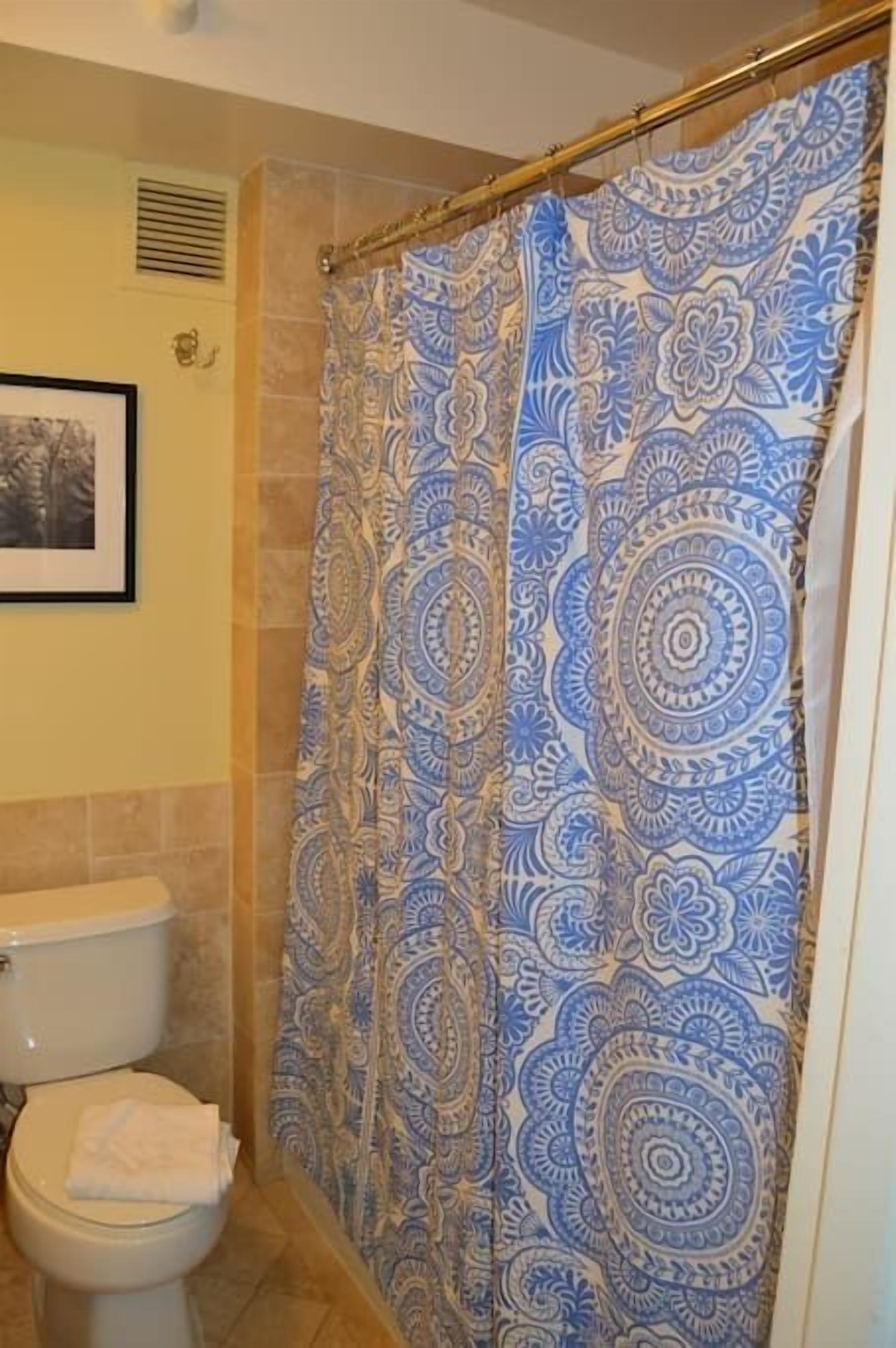 Un baño con cortina de ducha estampada, un inodoro y un cuadro en la pared.