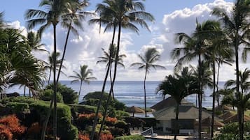 4 outdoor pools