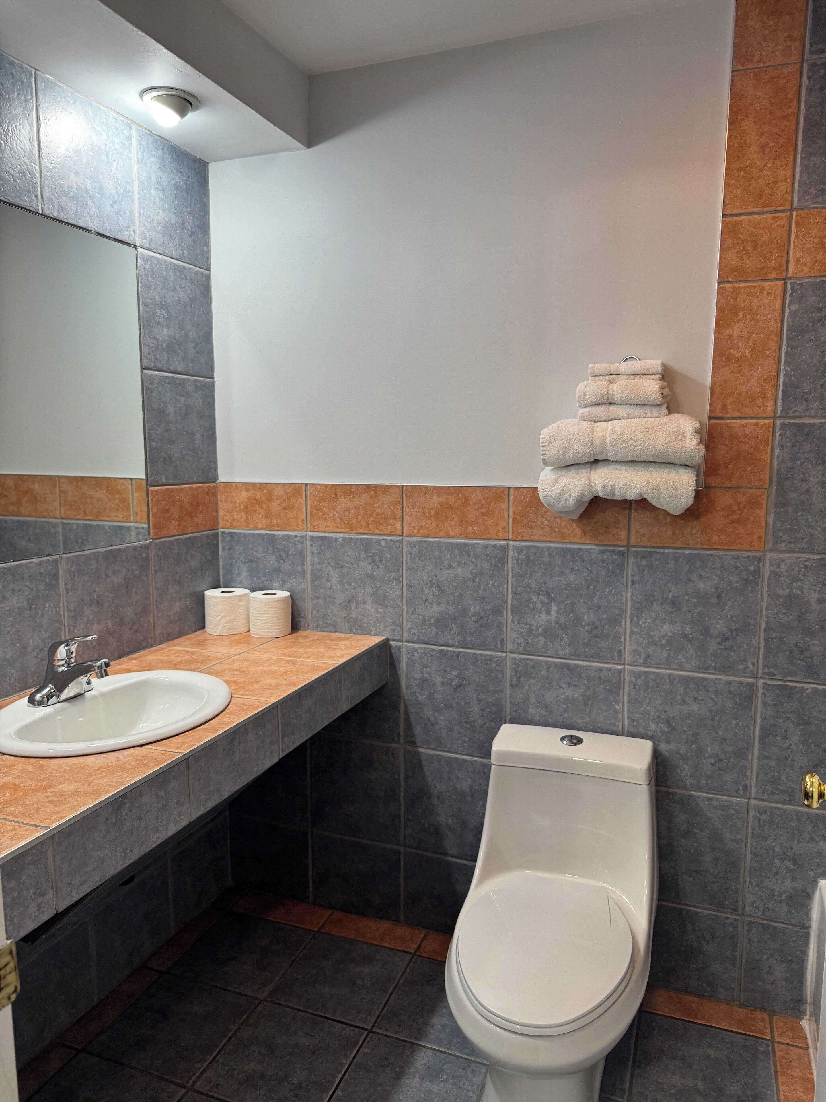 A bathroom with a sink, toilet, and towel rack.