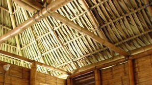 A room with a bamboo ceiling and walls, a bed with a white sheet and a blue pillow, and a fan on the floor.