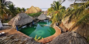 Zona de piscina con estructuras de techo de paja, palmeras y vista al océano.