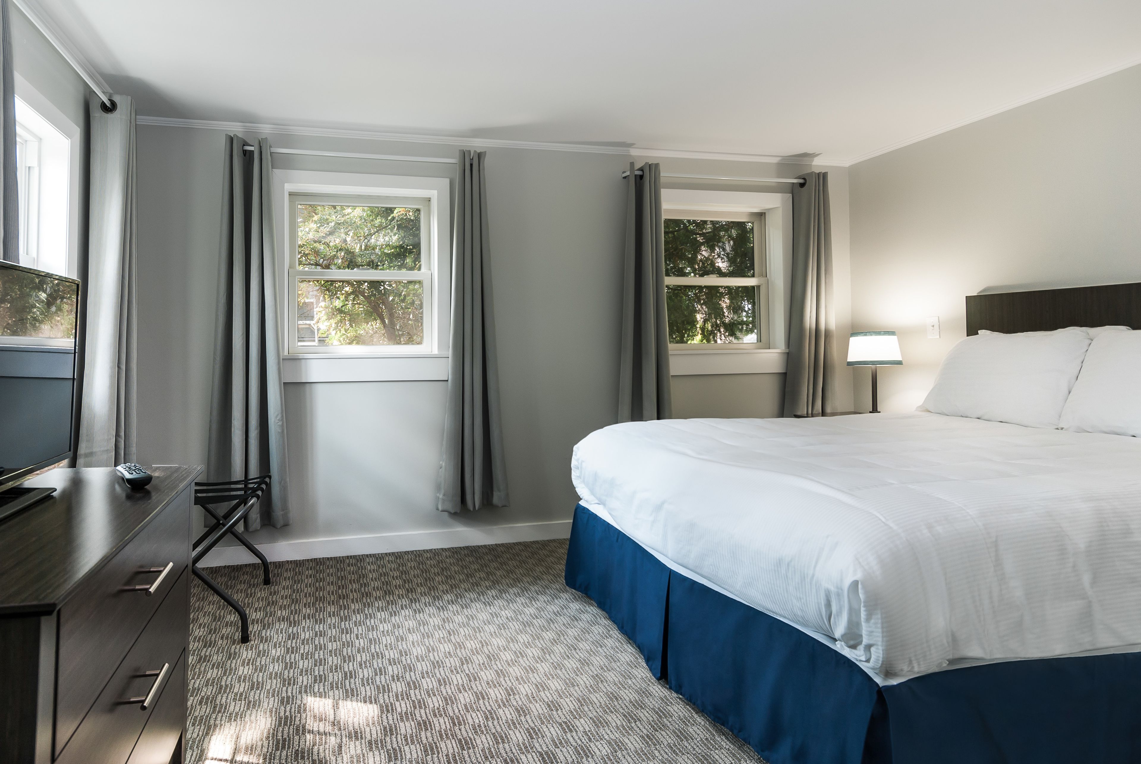 A hotel room with a bed, a desk with a TV, two windows with curtains, and a lamp.