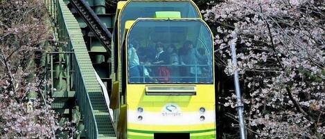 Children’s play area – outdoor