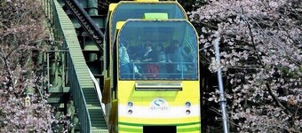 ハウンド ホテル チャングウォン