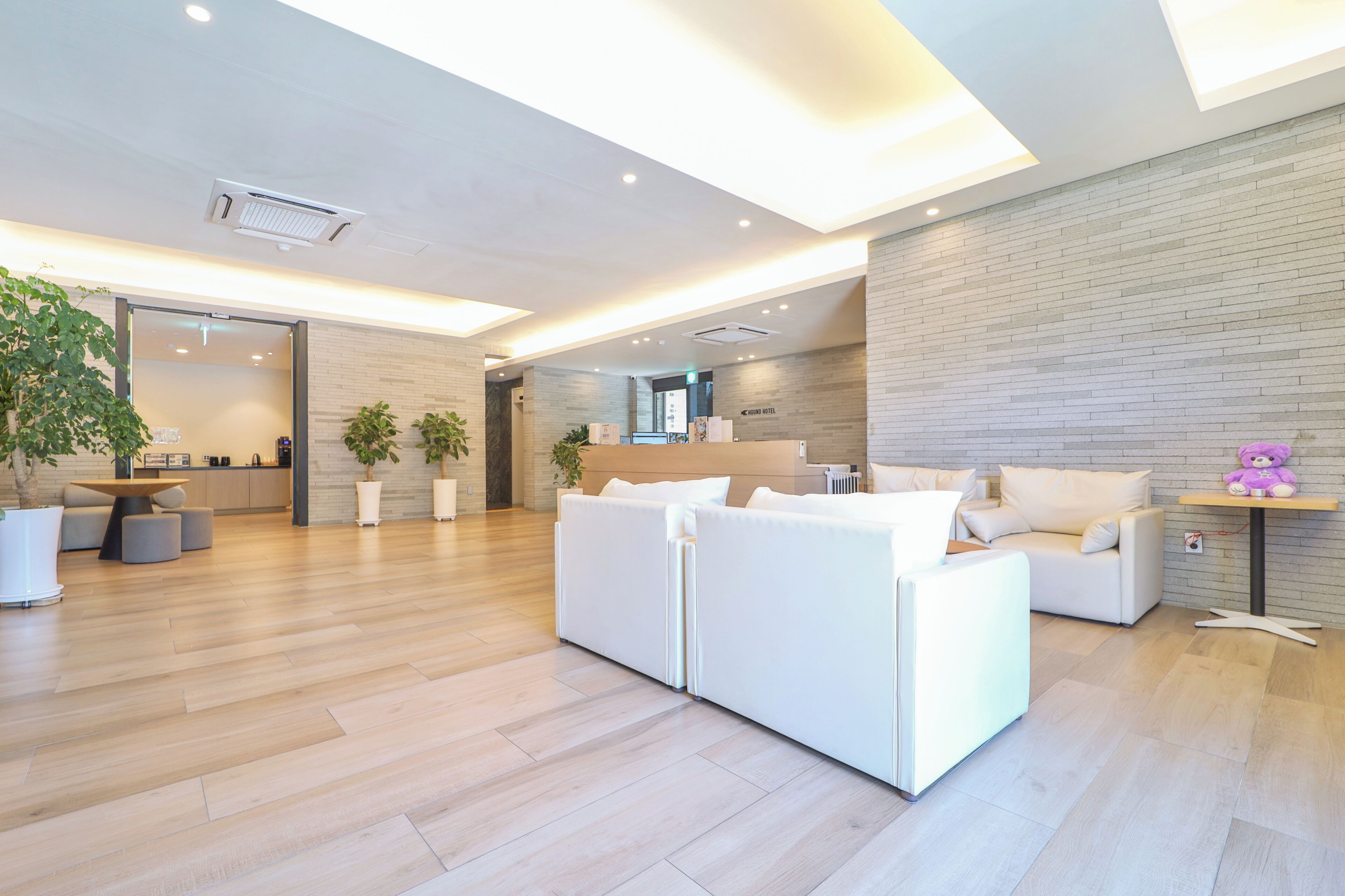 A modern hotel lobby with a reception desk, seating area, and a large potted plant.