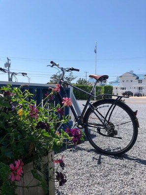 Una bicicletta parcheggiata accanto a un fioriere con fiori, cielo sereno e un edificio sullo sfondo.