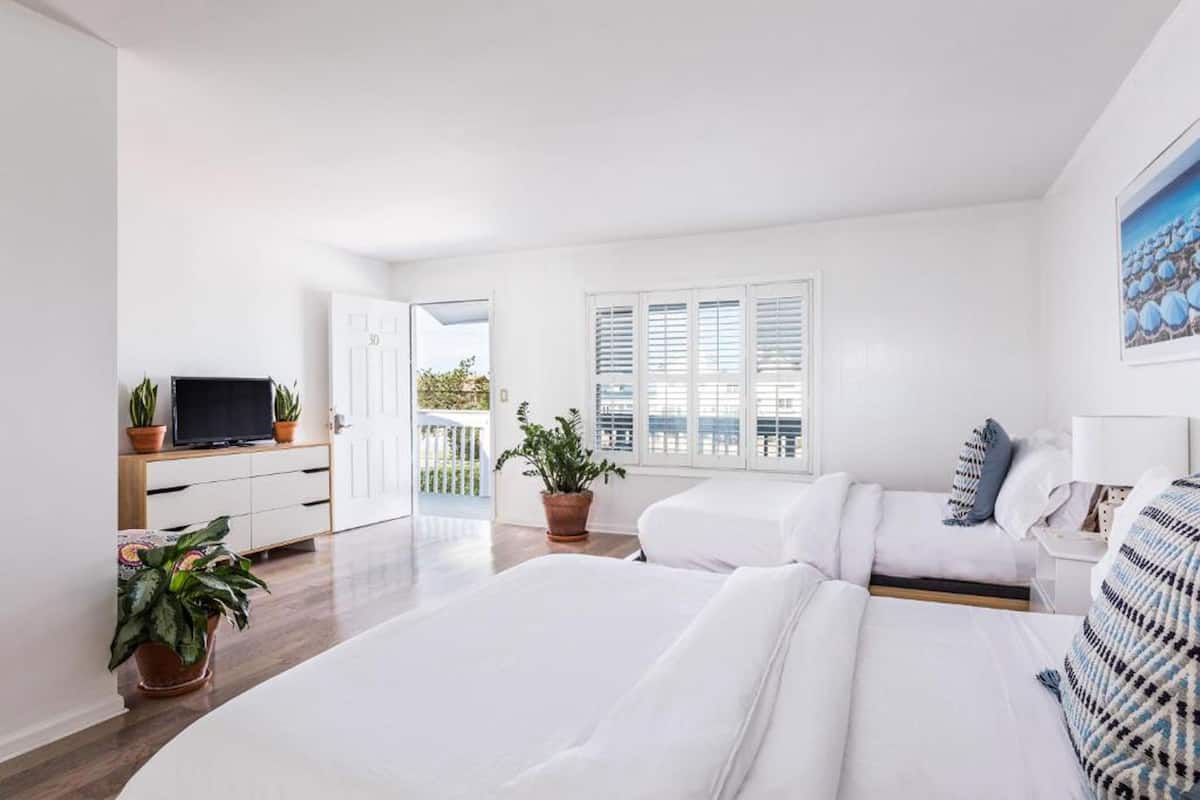 A modern hotel room with a large bed, a TV, a desk, and potted plants.