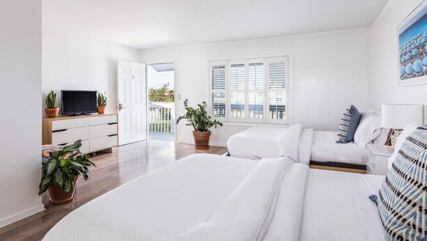 Une chambre d’hôtel moderne avec un grand lit, une télévision, un bureau et des plantes en pot.