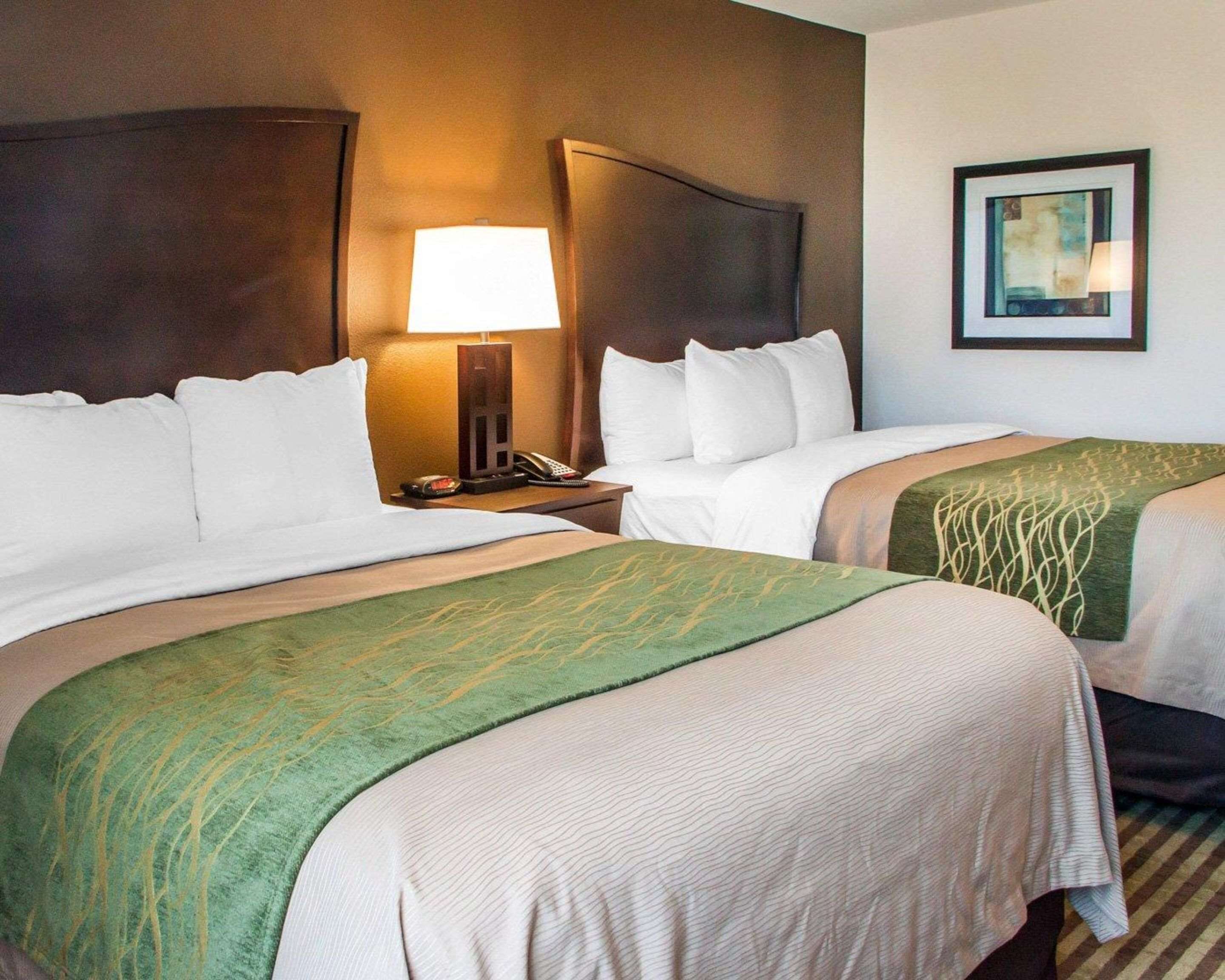 A hotel room with two beds, a nightstand with a lamp, a telephone, and a framed picture on the wall.