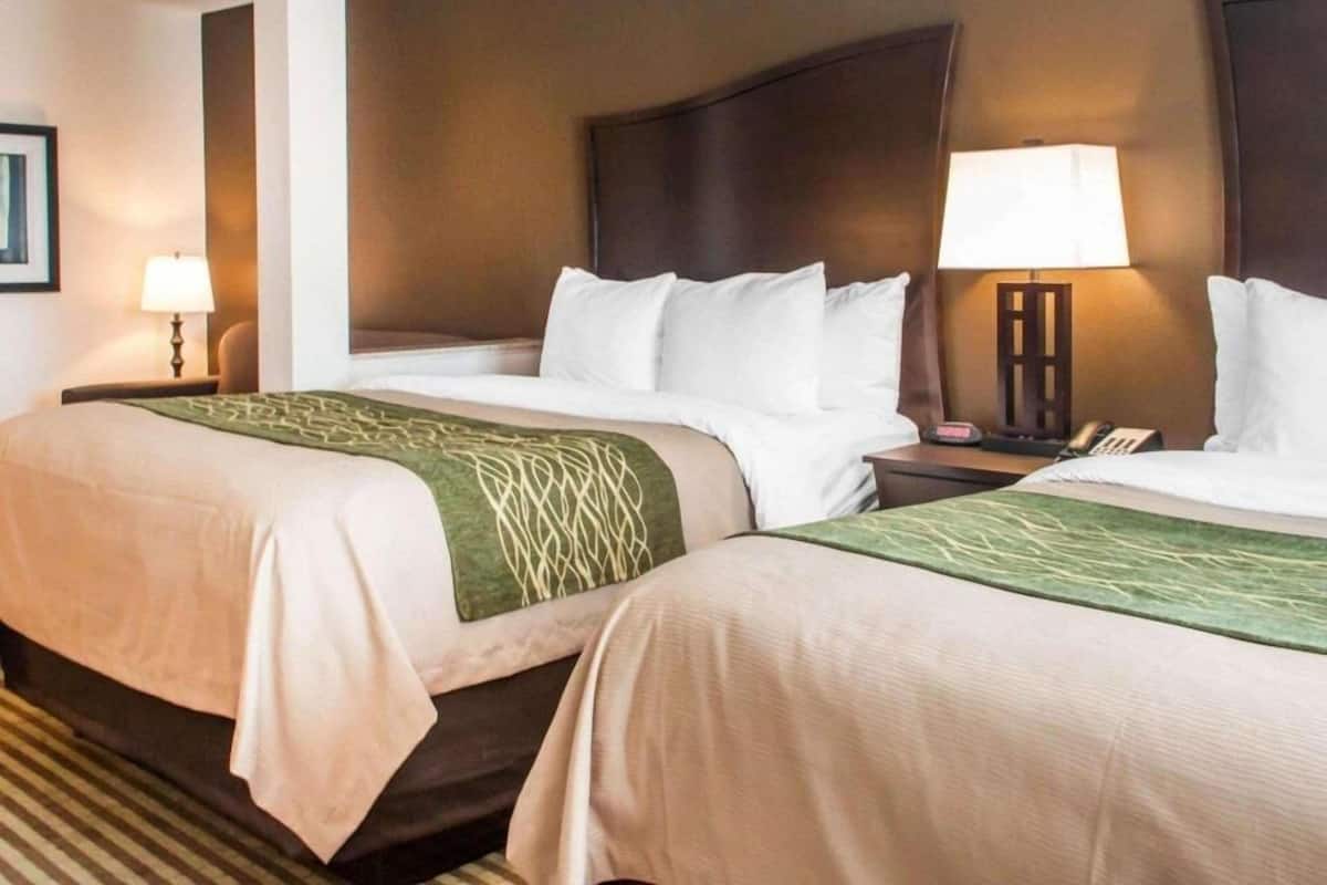 A hotel room with two beds, a nightstand with a lamp, and a framed picture on the wall.