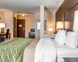 Habitación de hotel con una cama, un escritorio con una silla, un televisor y una ventana.
