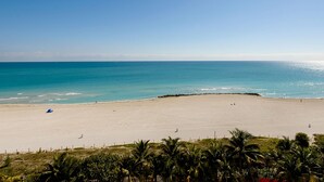 A beach with clear blue water, a sandy shore, and palm trees in the foreground.