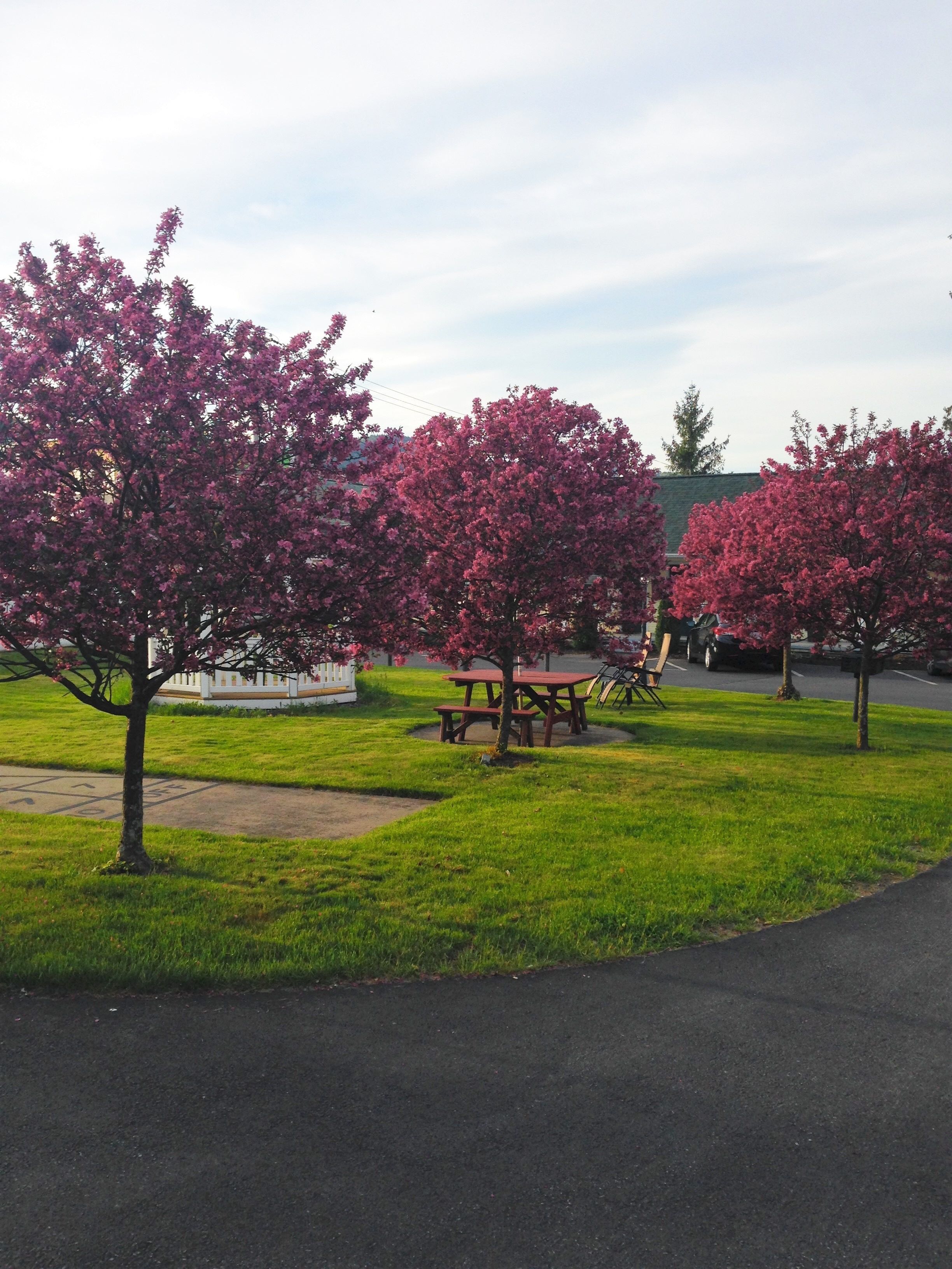 Foto - The Heritage of Lake George