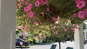 A covered outdoor seating area with two green lounge chairs, a tree with pink flowers, and a parking area in the background. - Heritage of Lake George (Lake George)