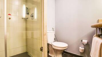 Une salle de bain avec une douche à parois de verre, des toilettes et un porte-serviettes.