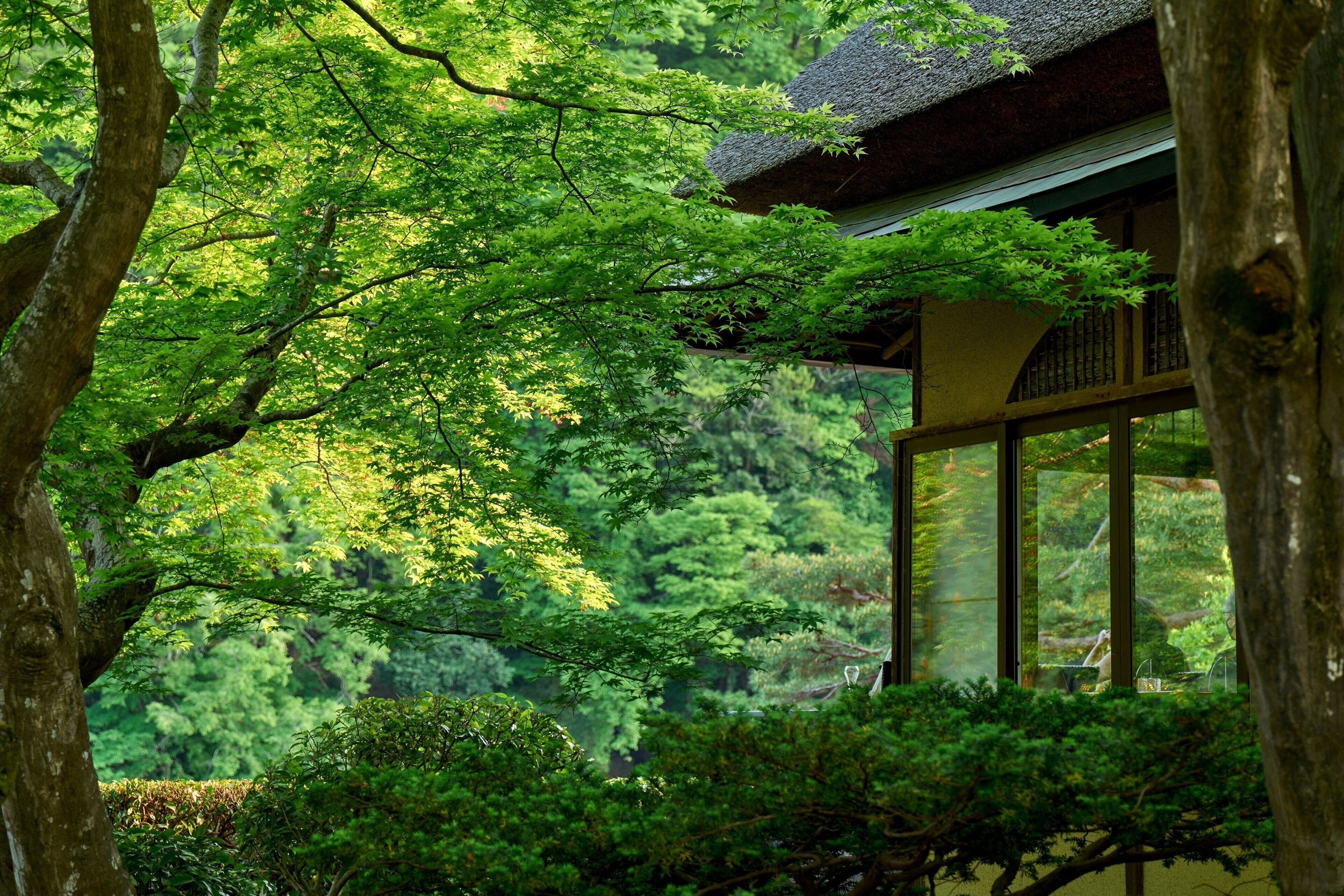 breakfast, lunch, dinner served; international cuisine