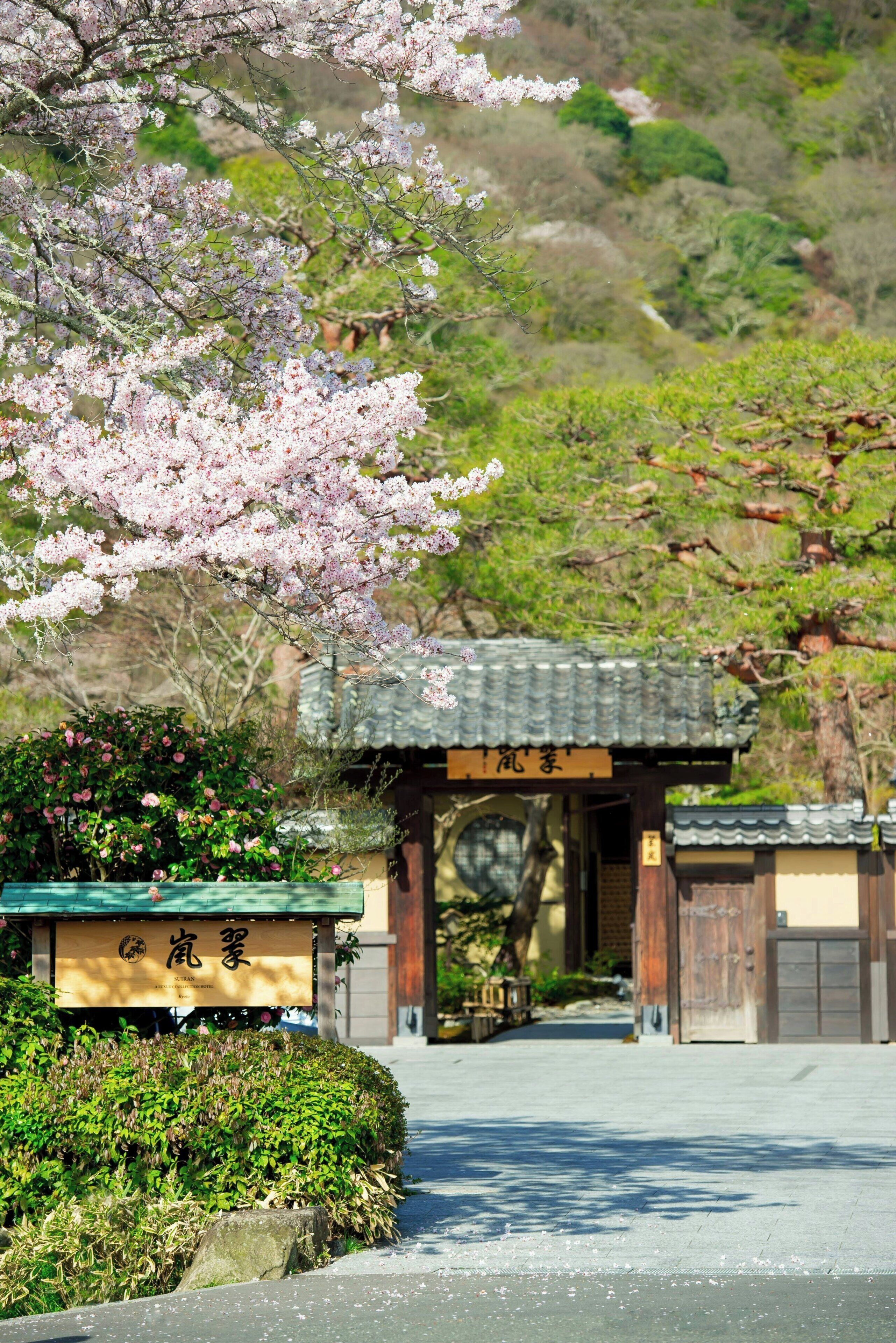 A traditional Japanese gate with a sign, surrounded by lush greenery and cherry blossoms.